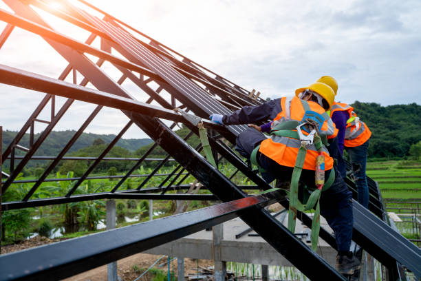 Best Roof Gutter Cleaning  in La Luz, NM